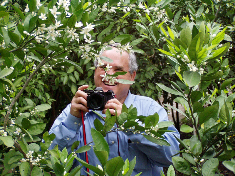 Dr. Jerry Parsons photographing citrus.